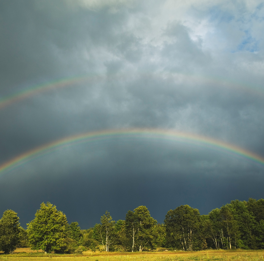 A vibrant double rainbow arches over a line of green trees and a field under a dramatic, dark gray, and cloudy sky.