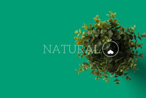 A vibrant green image with the word NATURAL and a heart icon. A small, lush green plant is shown from a top-down perspective, casting a subtle shadow on a solid green background.
