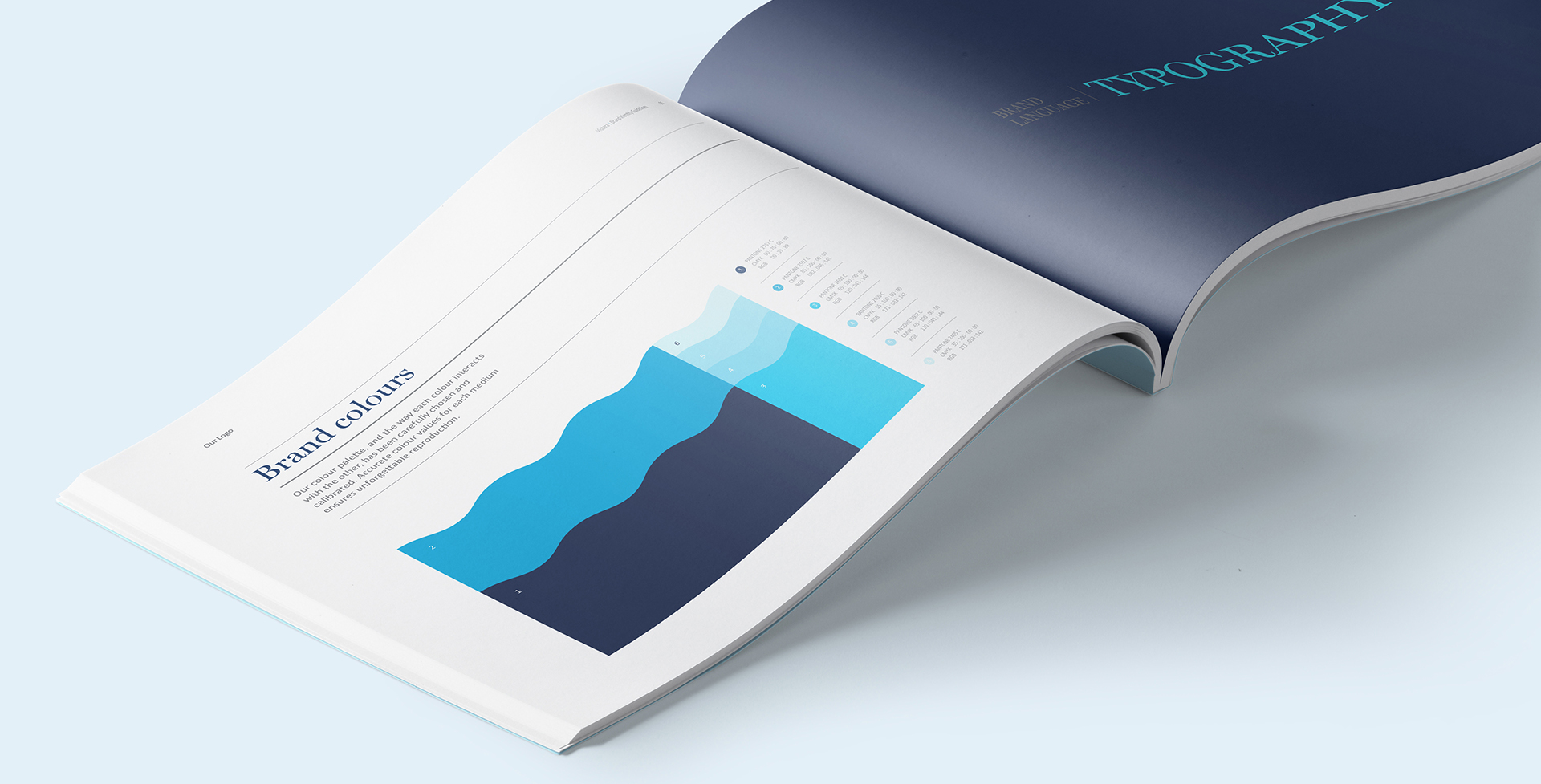 Vistara brand guideline book open to color palette and typography section displaying blue tones and font styles
